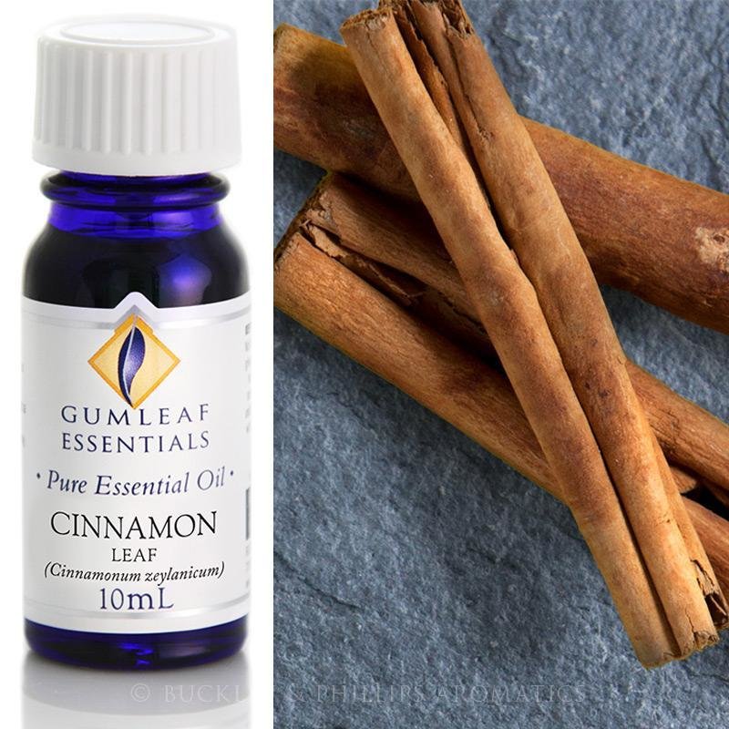 Buckley and Phillips Cinnamon Leaf Essential Oil 10ml - The Spirit of Life
