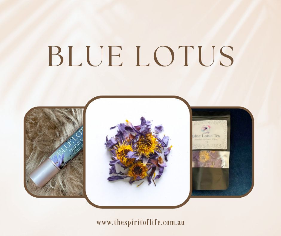 Blue Lotus