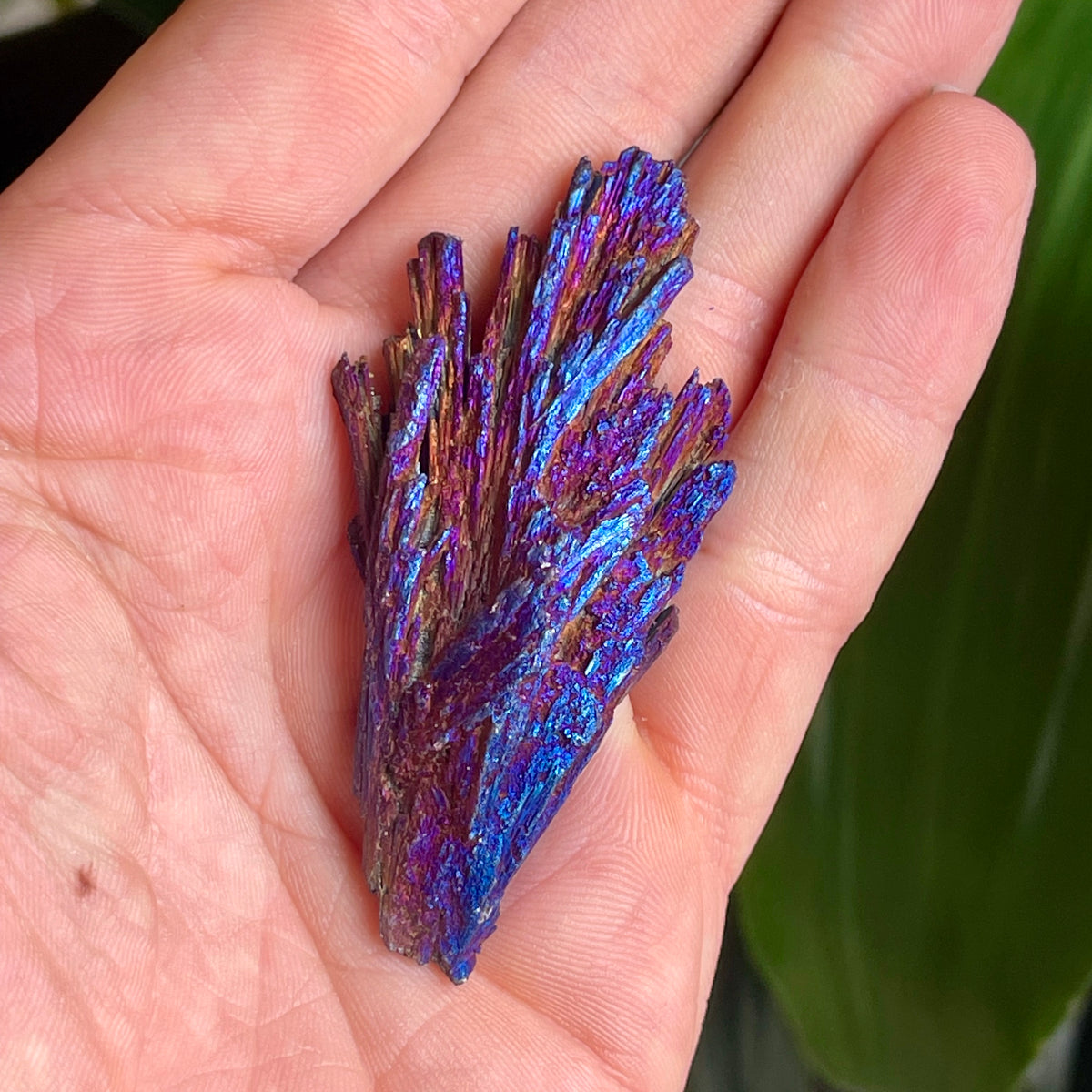 Kyanite Titanium - The Spirit of Life