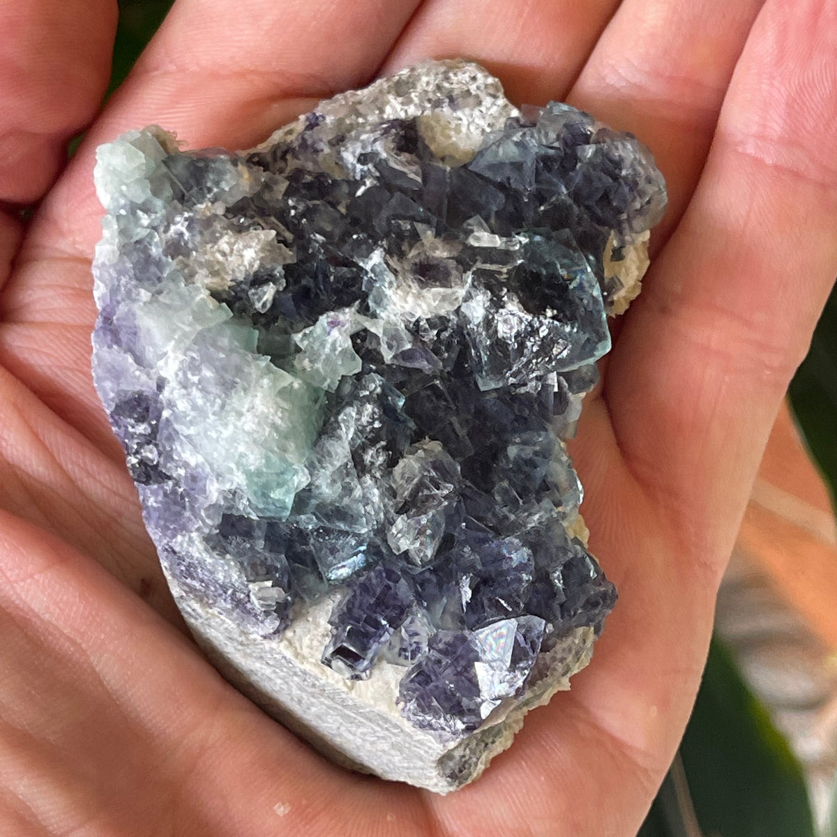 Purple cube Fluorite Cluster on Matrix - The Spirit of Life