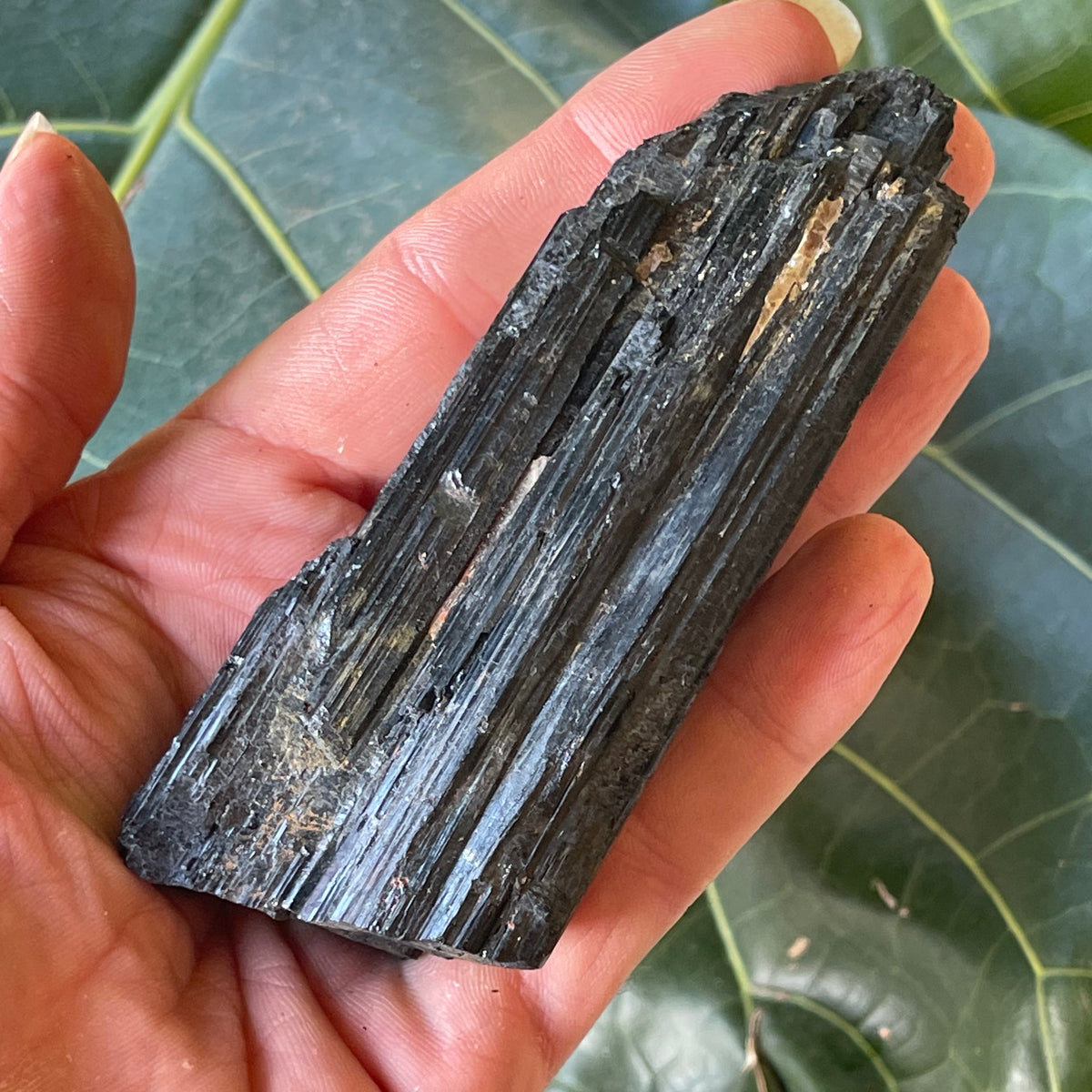 Natural Black Tourmaline 226g
