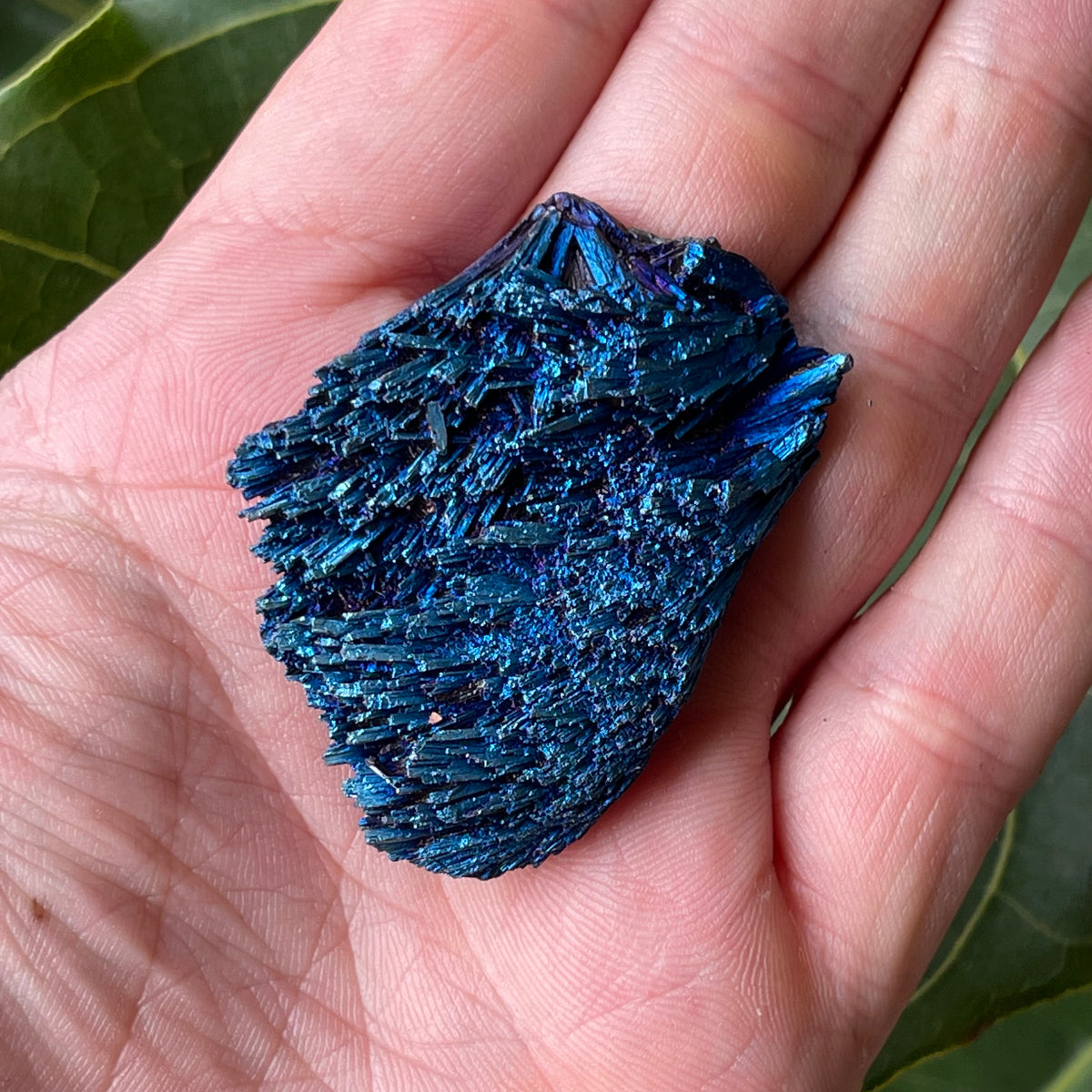 Kyanite Titanium