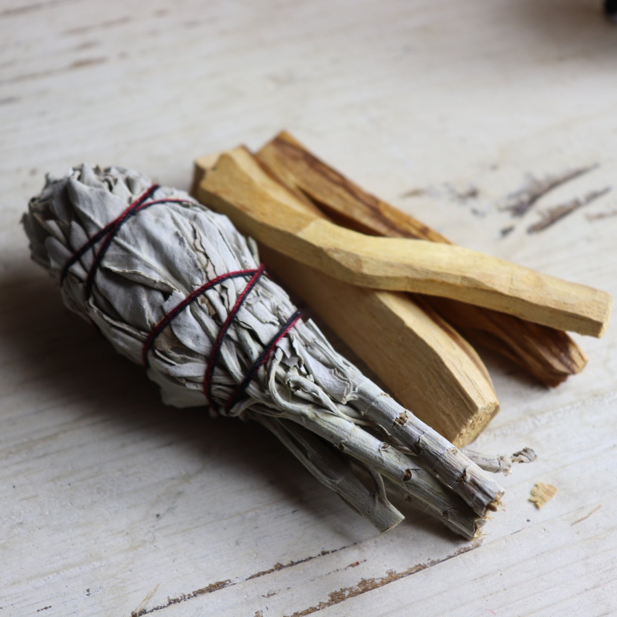 Combo Small Sage stick and Wild Harvest Palo Santo - The Spirit of Life