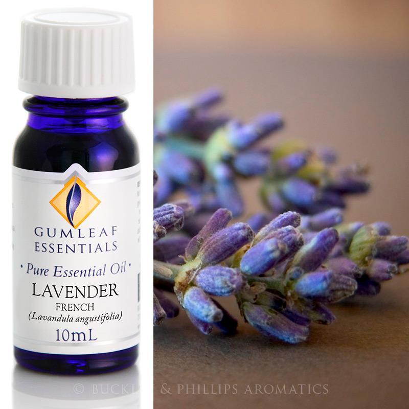 French Lavender Essential Oil 10ml - The Spirit of Life