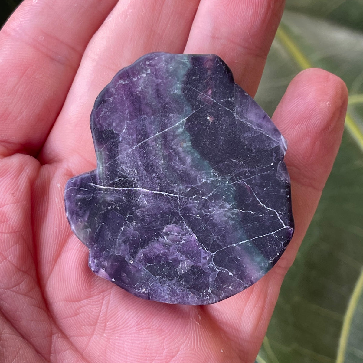 Fluorite Swan Carving 54g