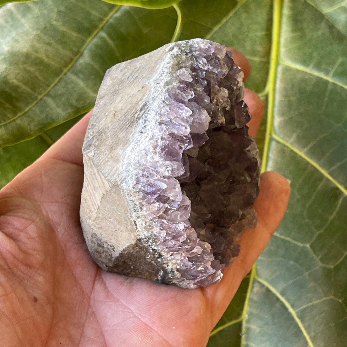 Amethyst Natural Cluster 311g