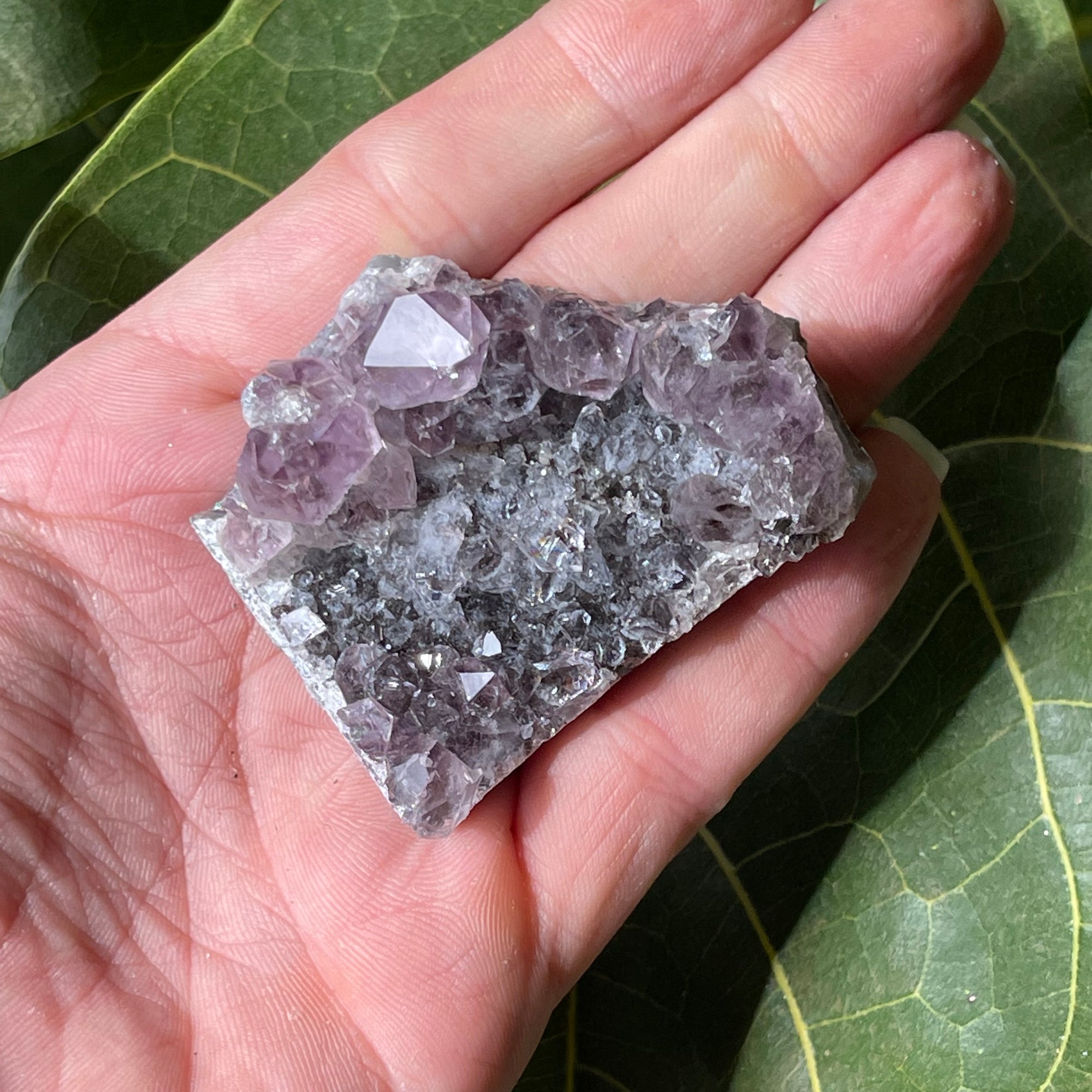 AAA Natural Amethyst Cluster