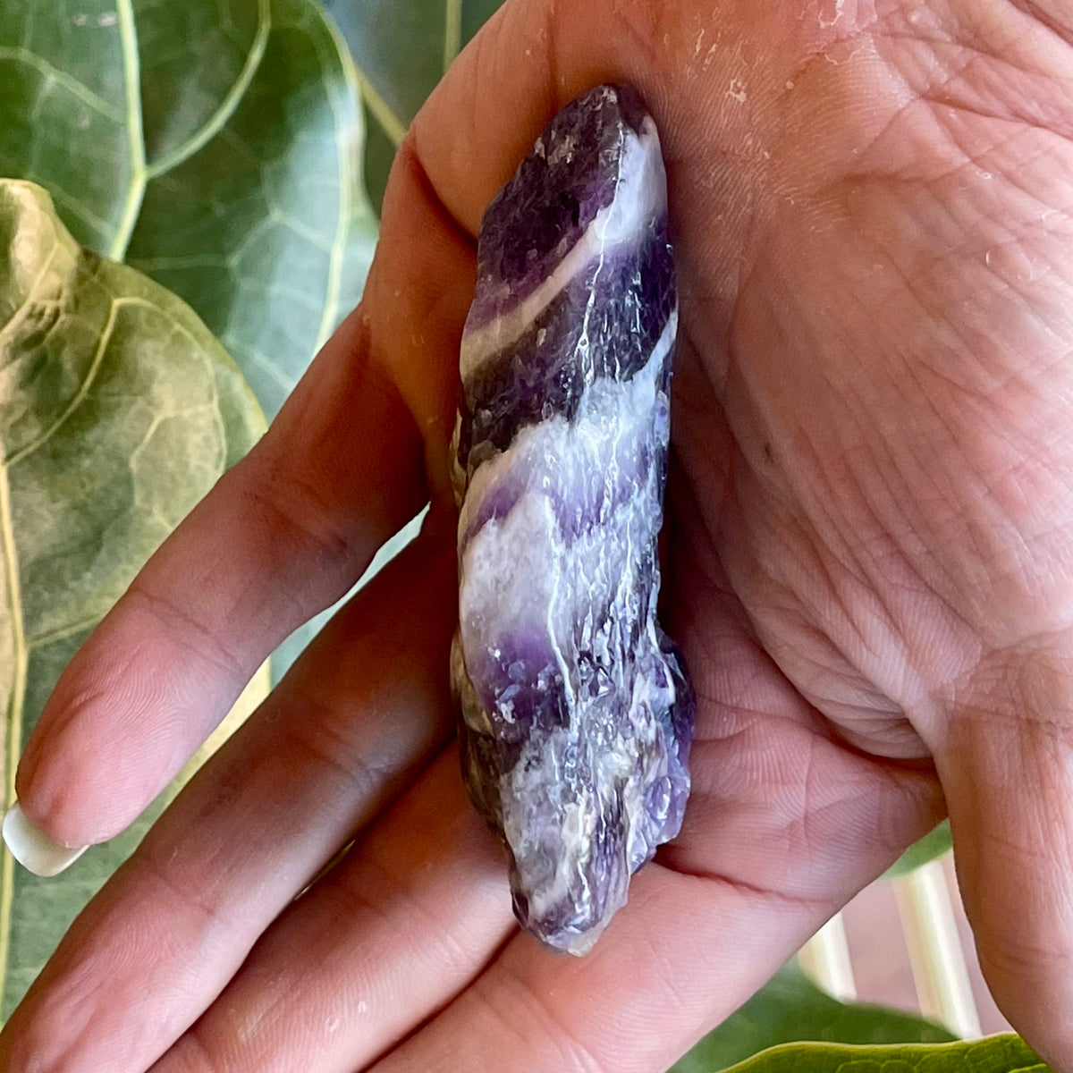 Chevron Amethyst Semi Polished Point