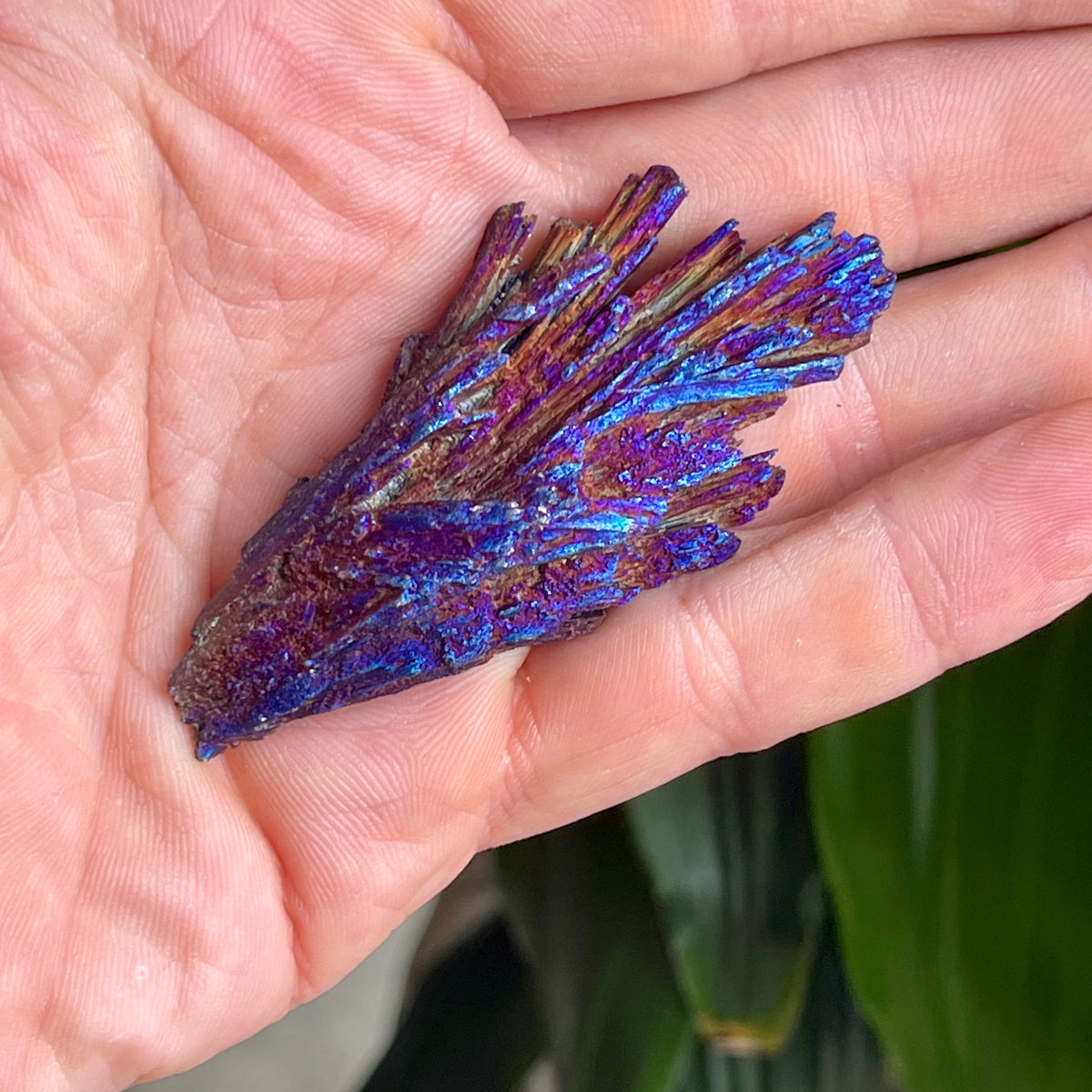 Kyanite Titanium - The Spirit of Life