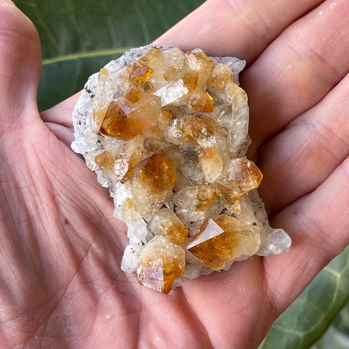 Citrine Cluster 92g