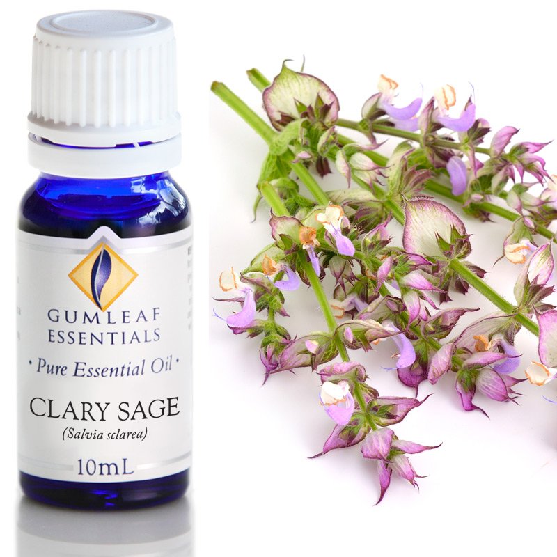 Clary Sage Essential Oil- Buckley &amp; Philips 10ml - The Spirit of Life