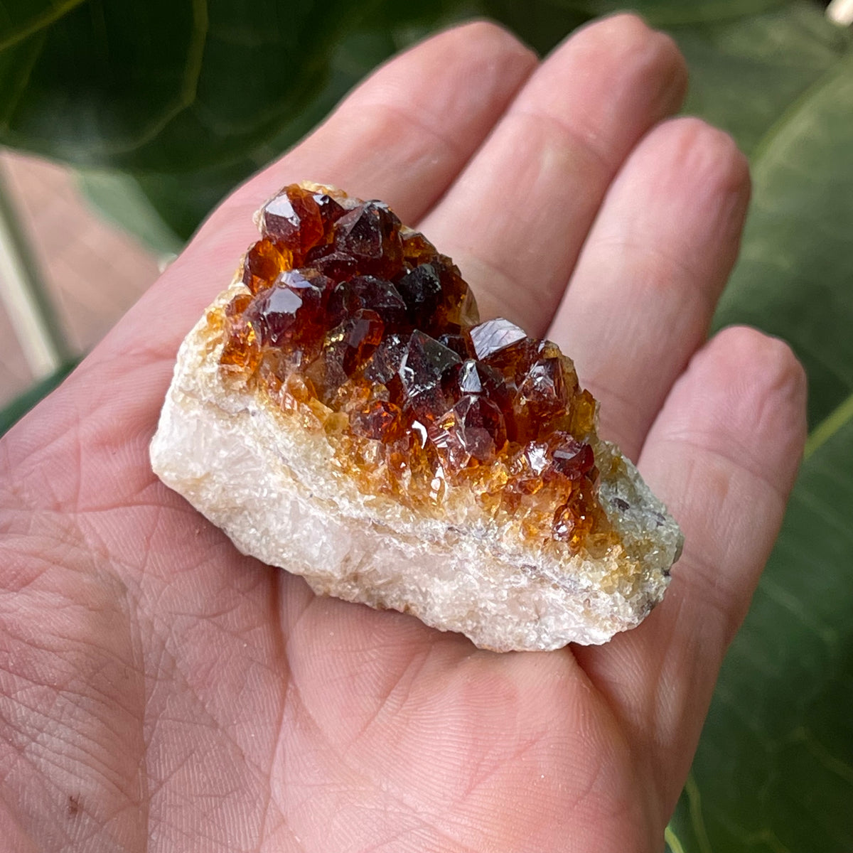 Natural Citrine Cluster 86g