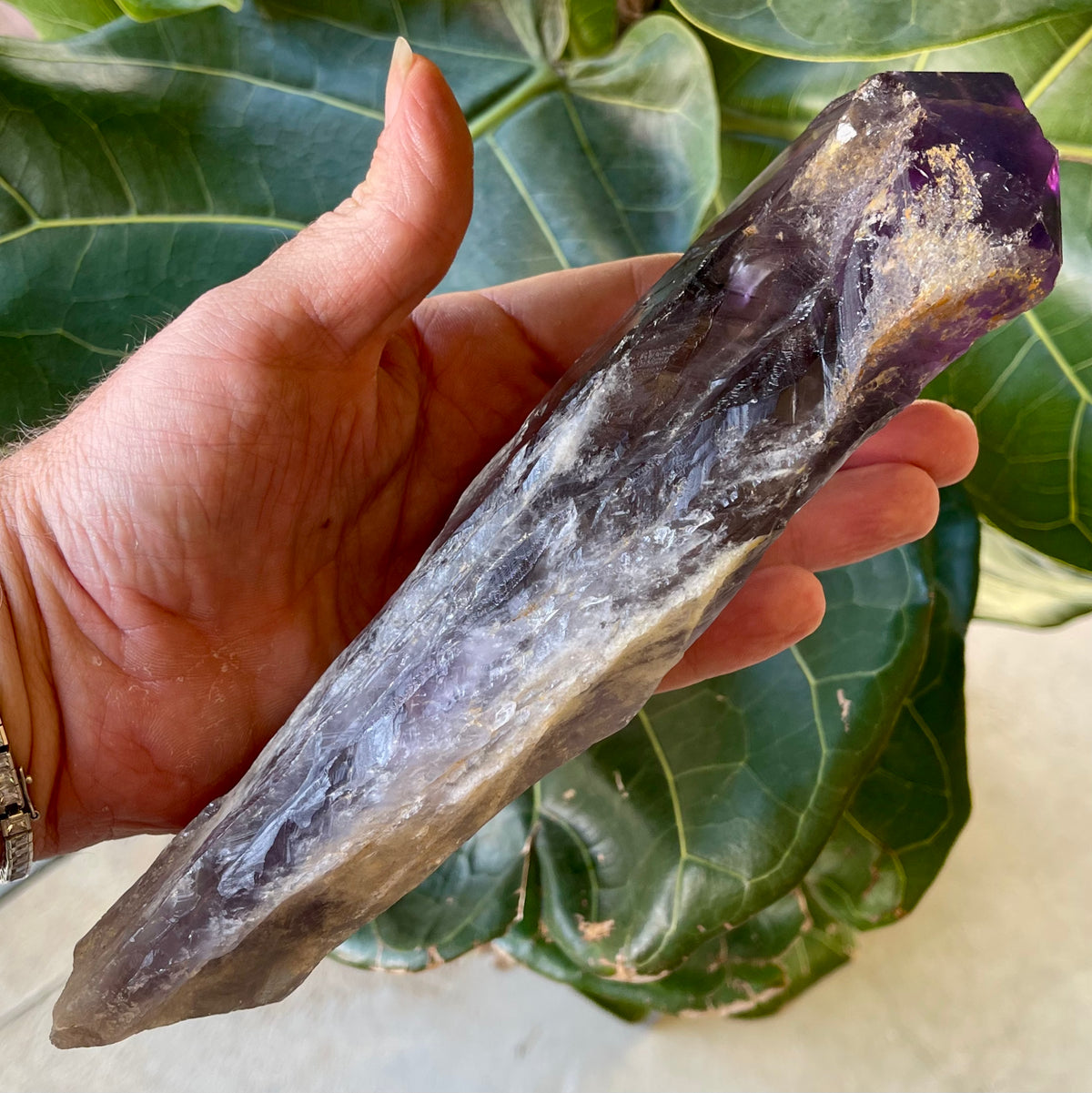 Natural Amethyst Tooth / Wand