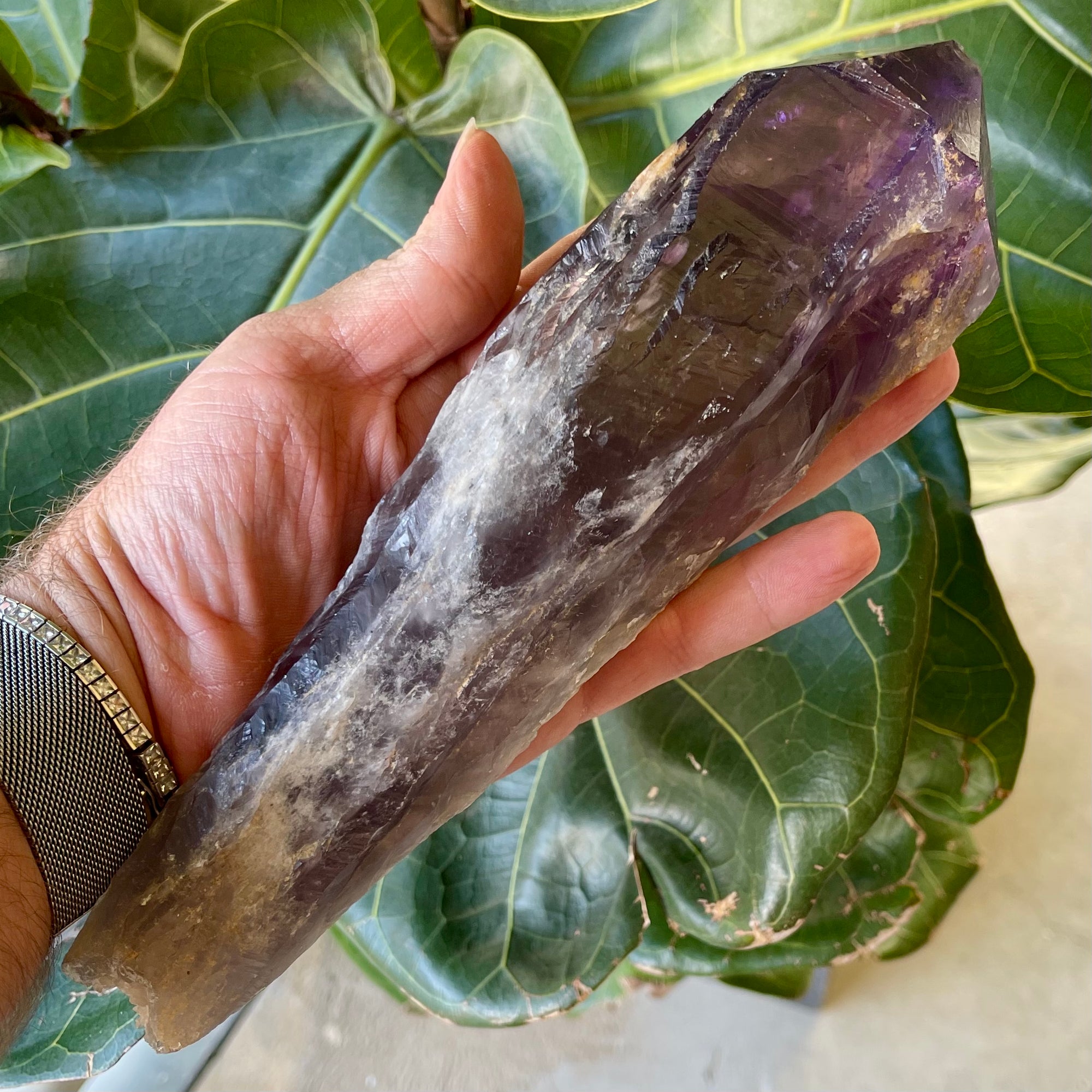 Natural Amethyst Tooth / Wand