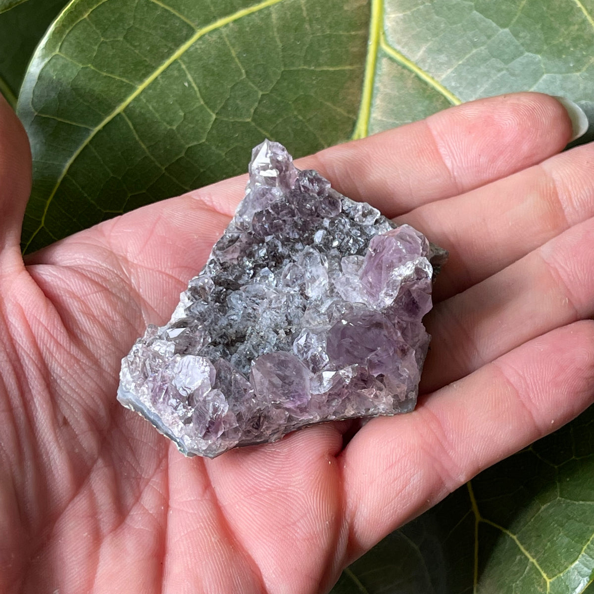 AAA Natural Amethyst Cluster
