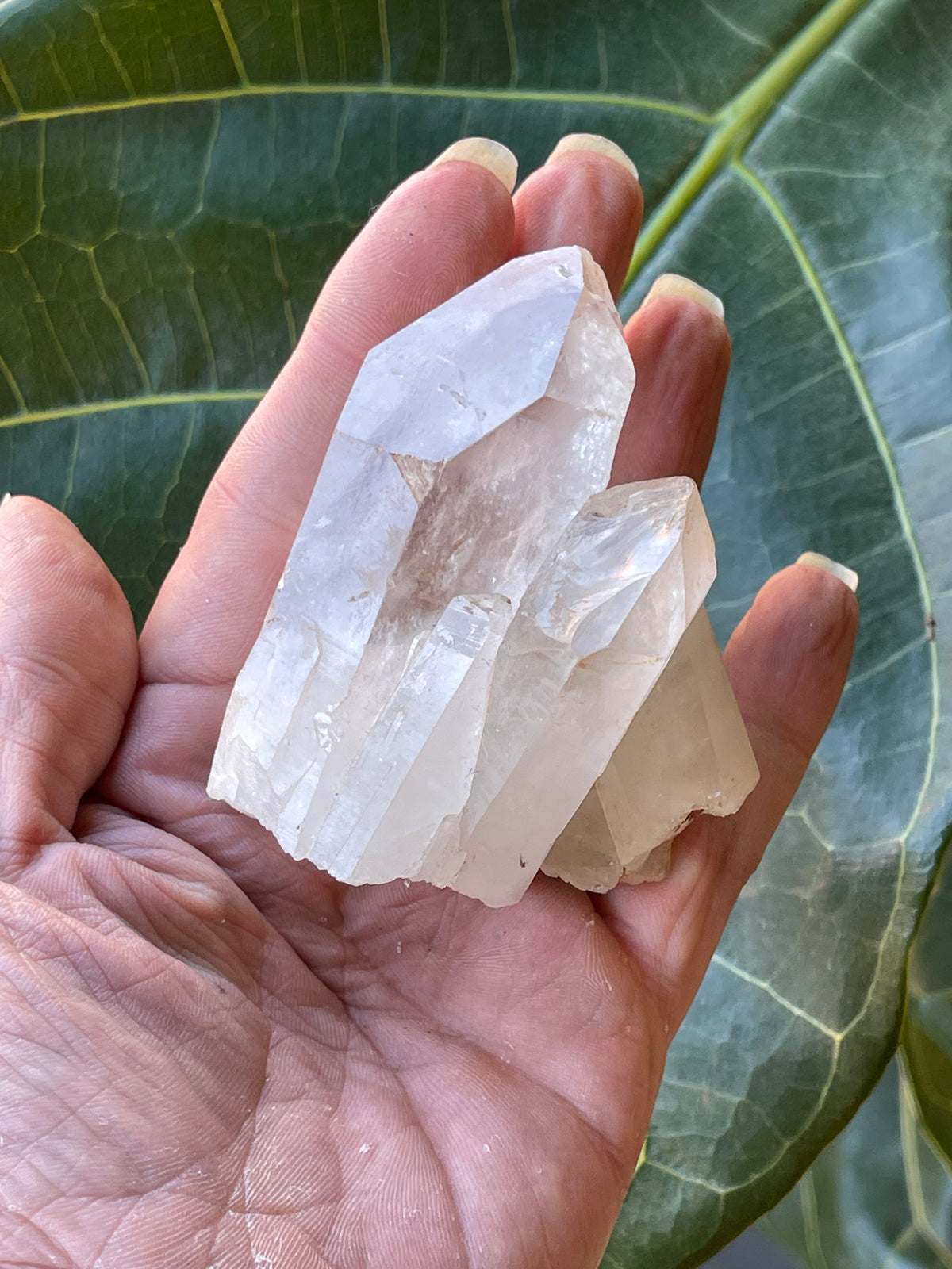 Clear Quartz Natural Cluster 221g
