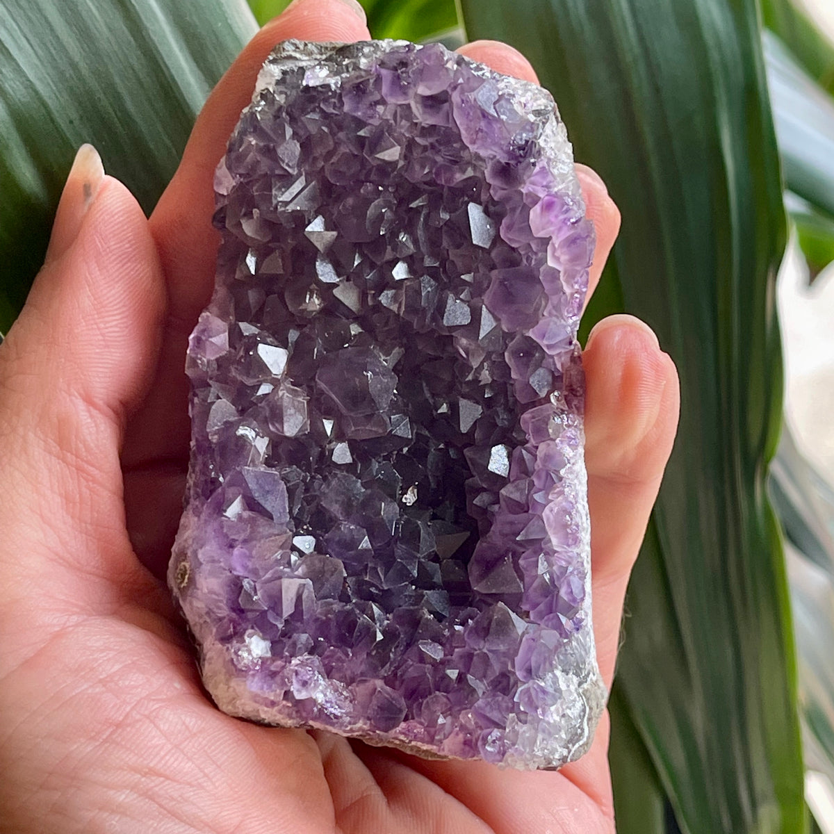 Stunning Amethyst Cave 290g - The Spirit of Life
