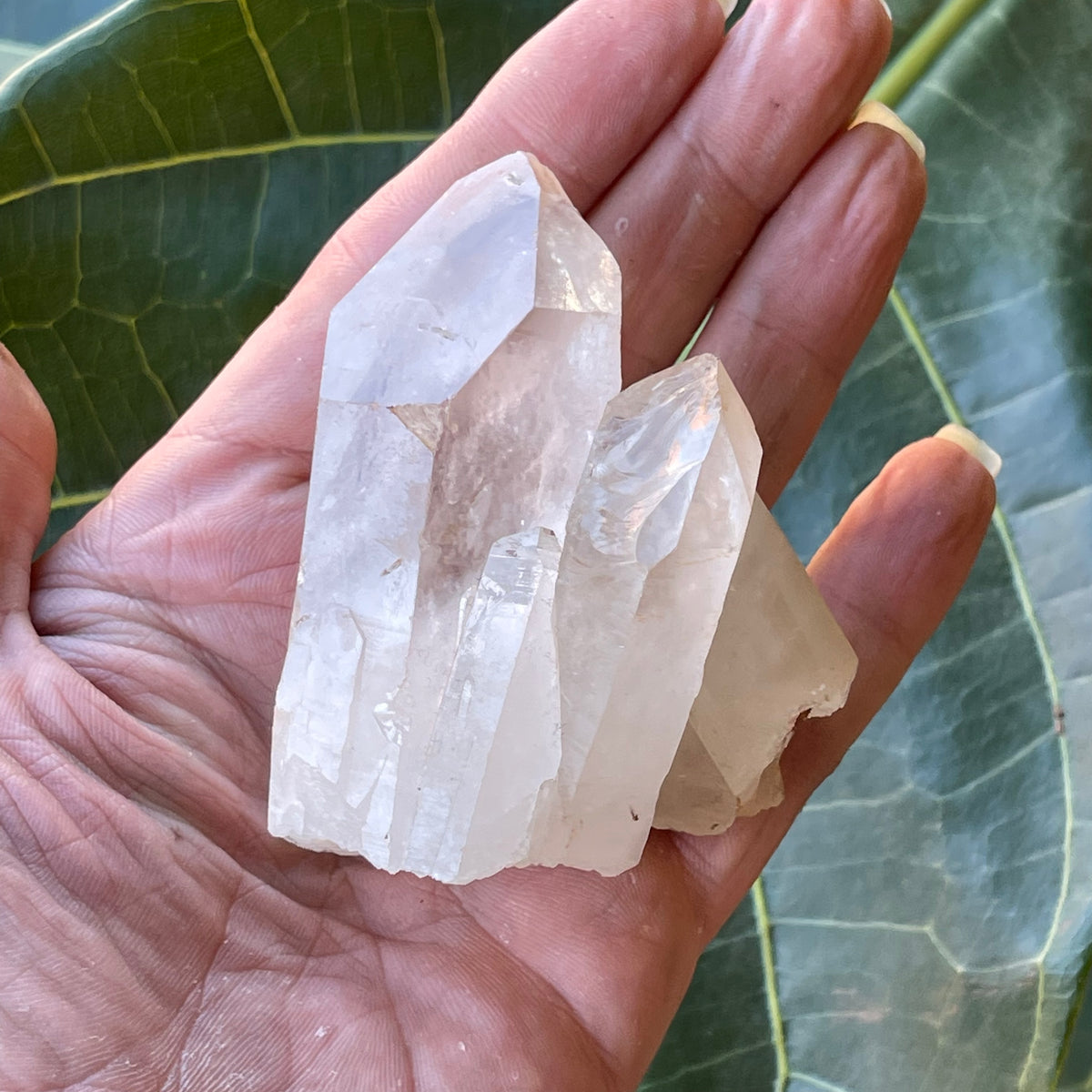Clear Quartz Natural Cluster 221g