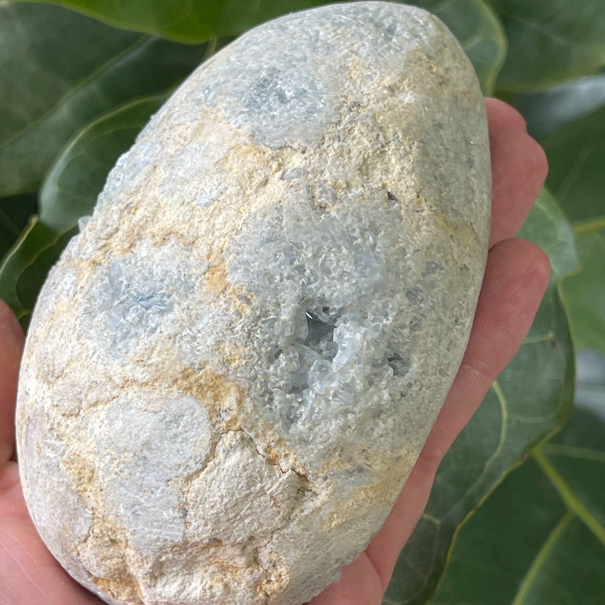 Natural Angelite Egg