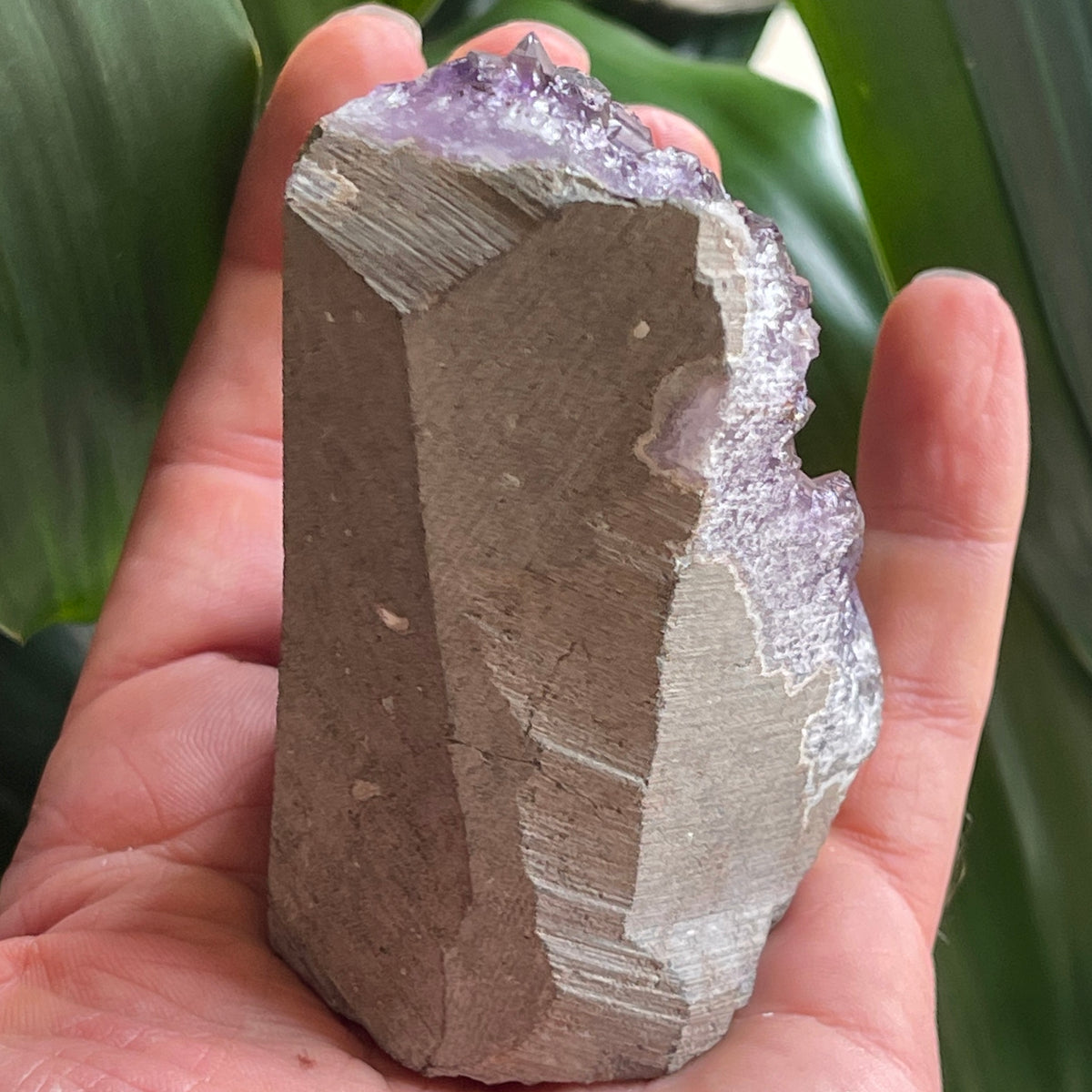 Stunning Amethyst Cave 290g - The Spirit of Life
