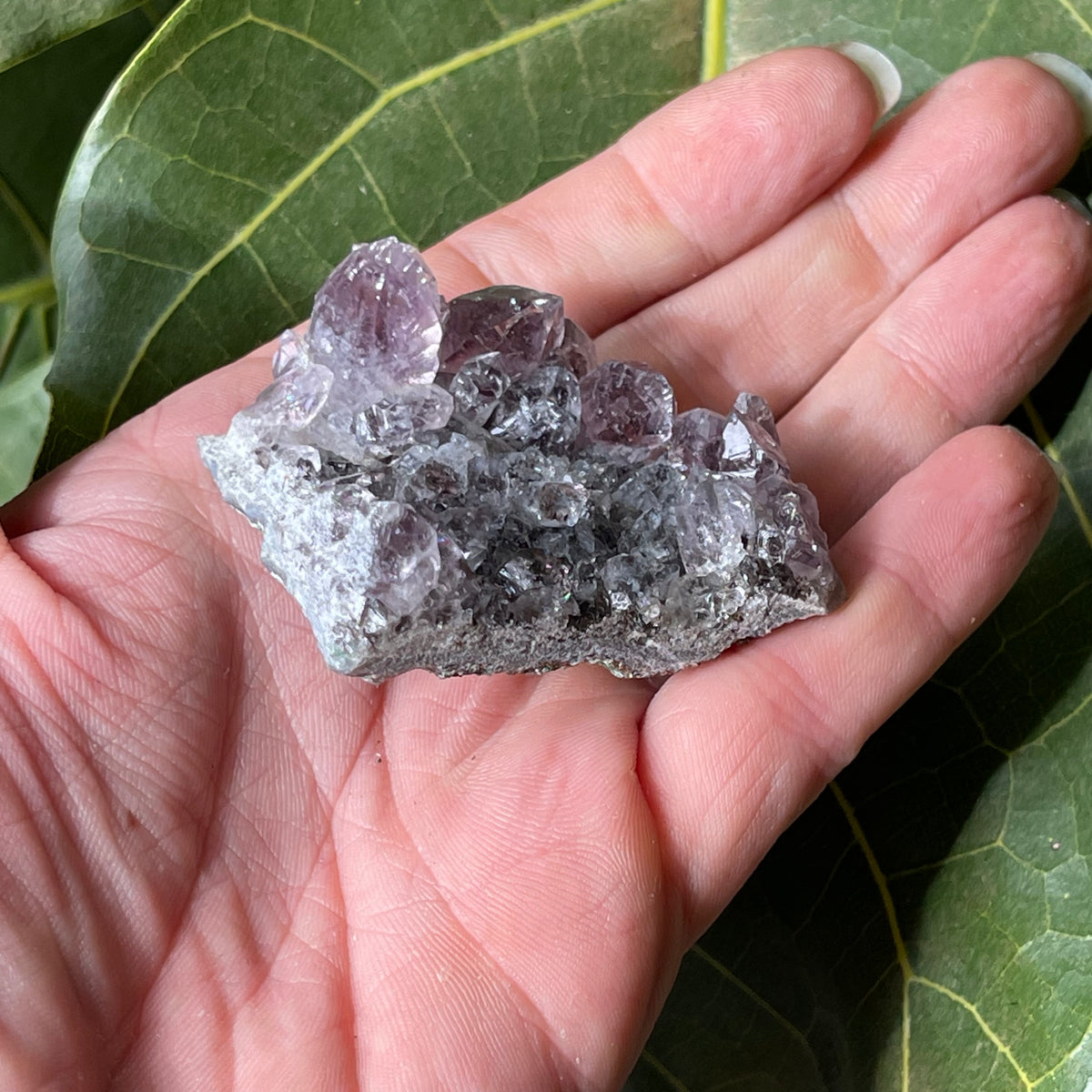 AAA Natural Amethyst Cluster