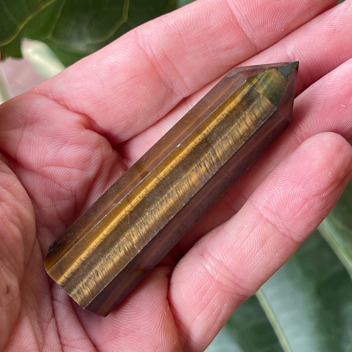 Tigers Eye Point 50g