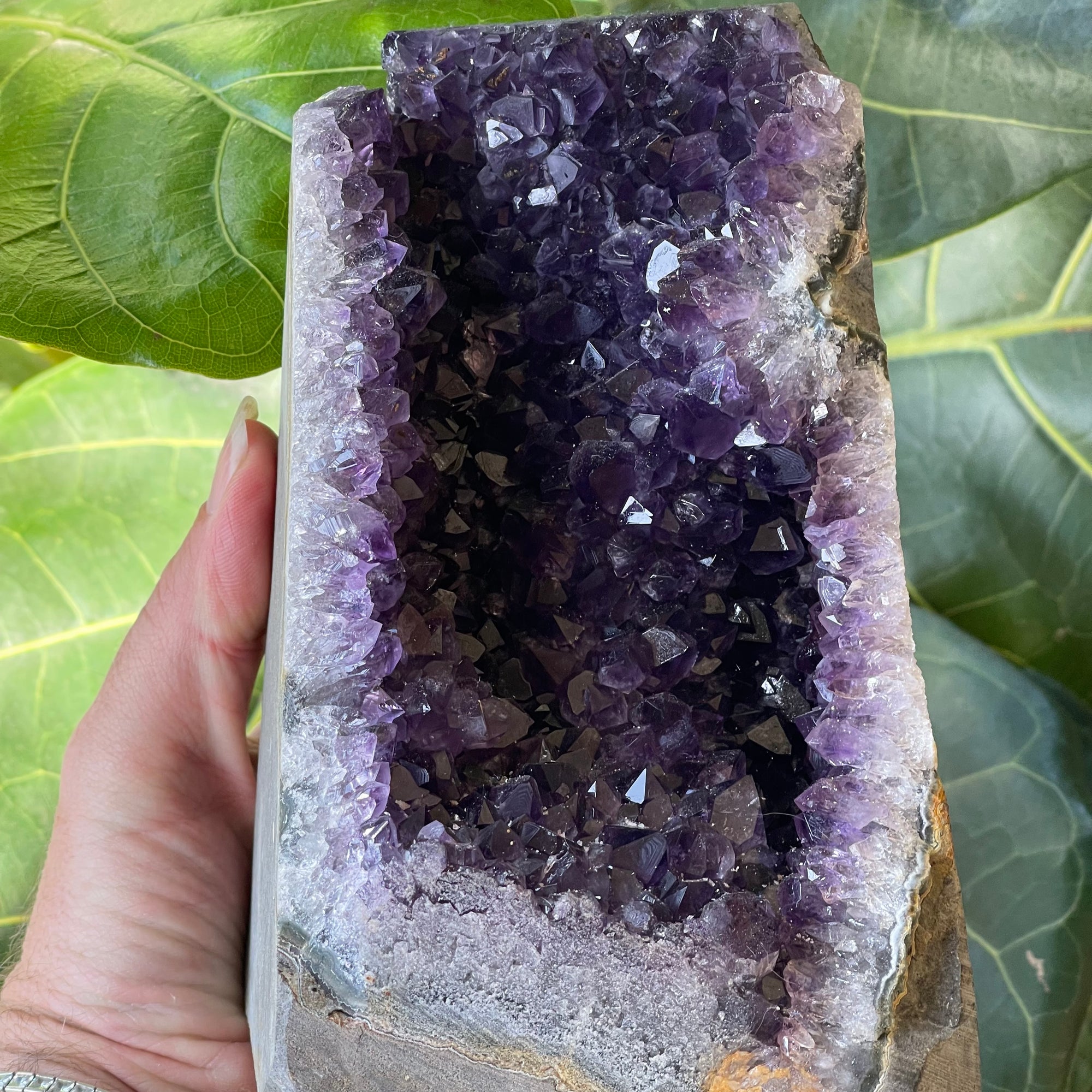 Natural Amethyst Open Cave 2210g