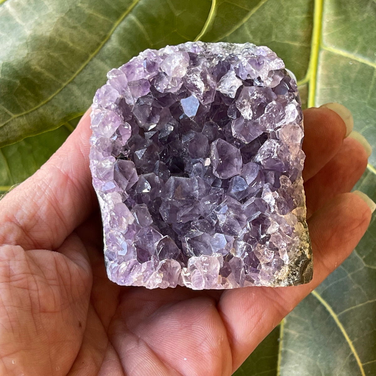 Amethyst Natural Cluster 311g