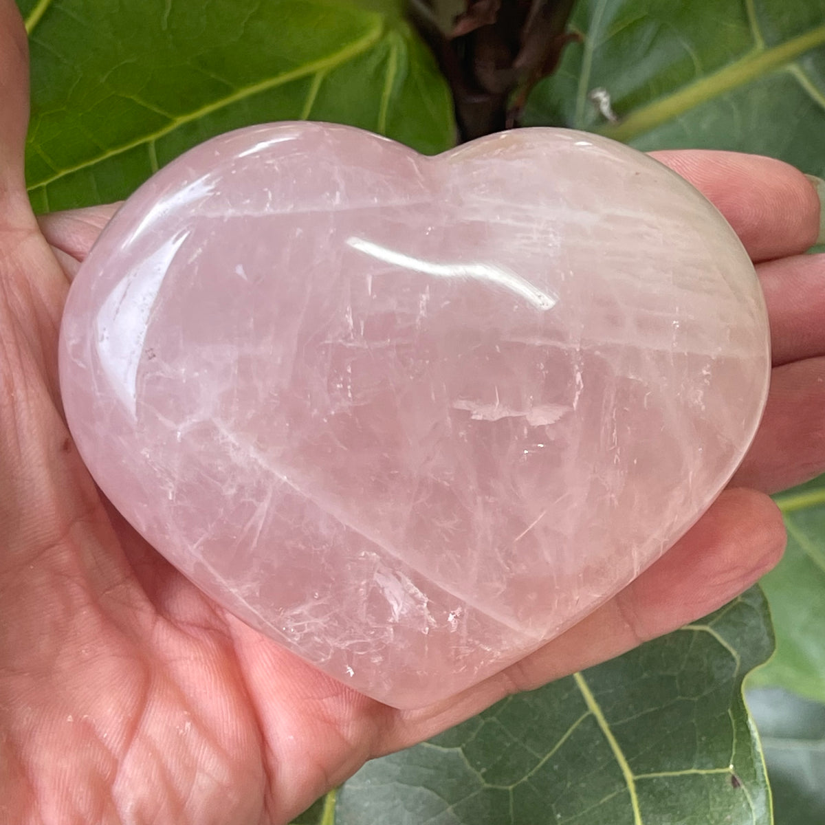 Stunning Rose Quartz Puffy Heart