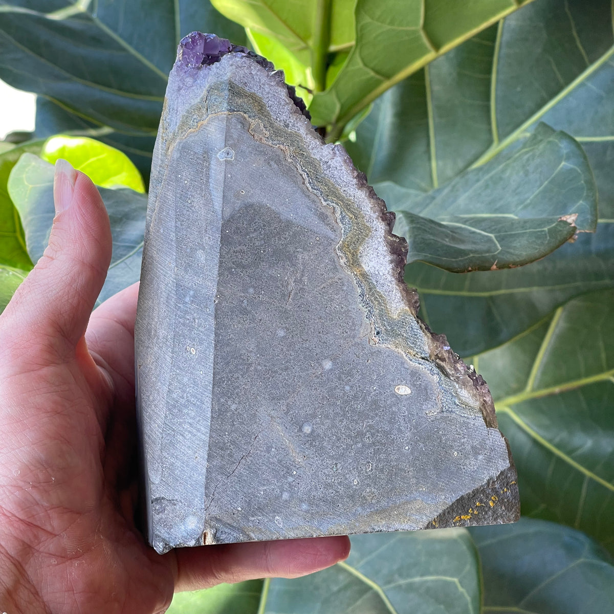 Natural Amethyst Open Cave 2210g