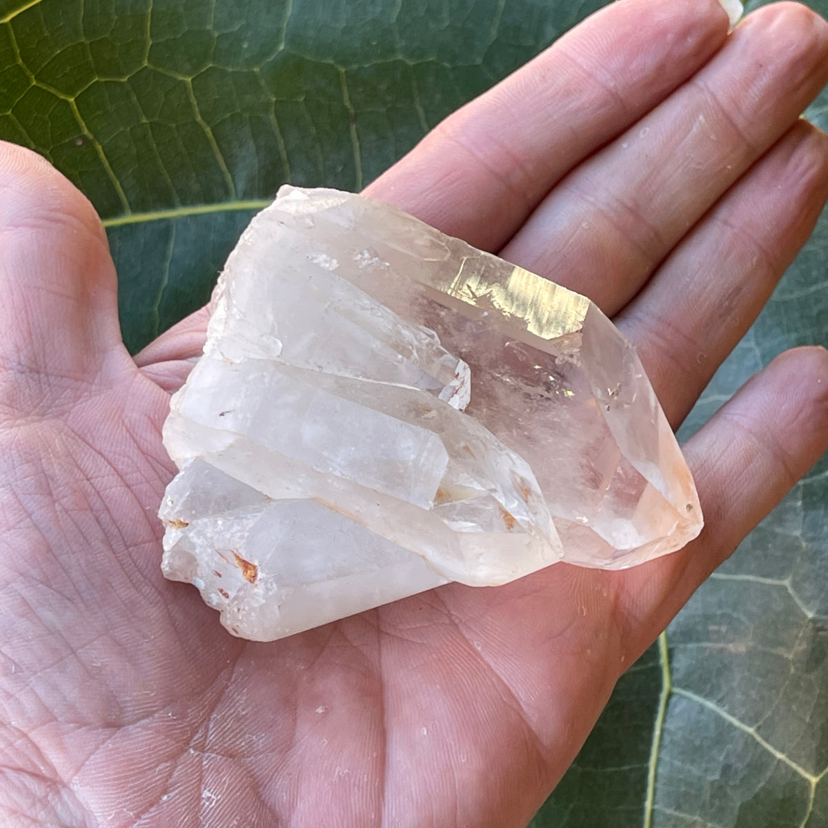 Clear Quartz Natural Cluster 221g