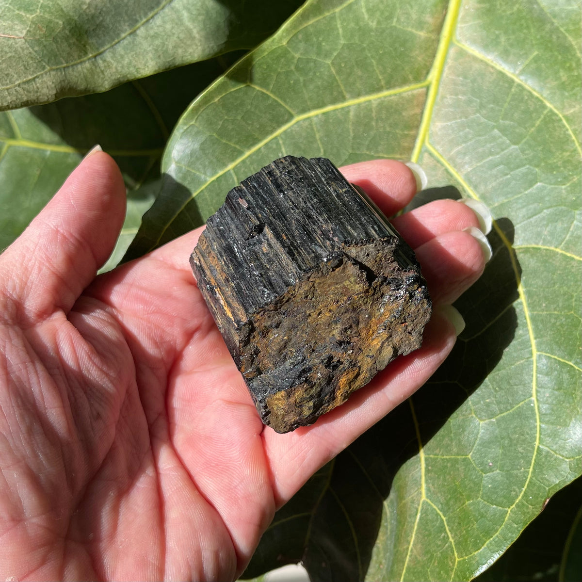 227g Natural Raw Black Tourmaline Crystal