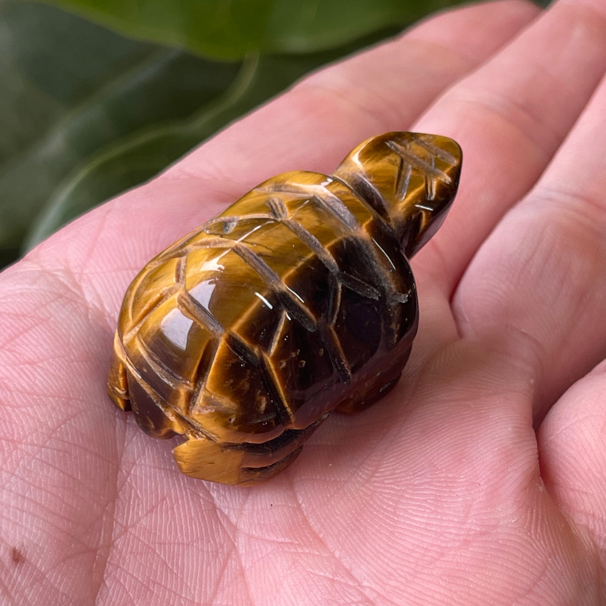 Hand Craved Tigers Eye Turtle 30g