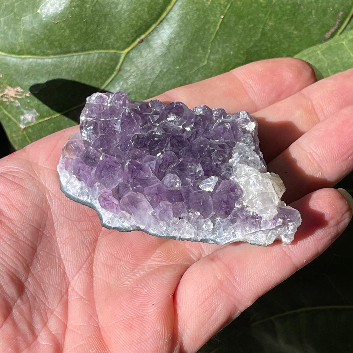 AAA Natural Amethyst Cluster 83g