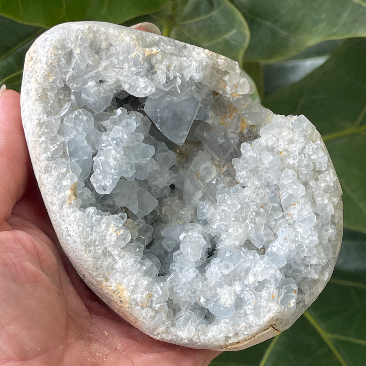 Natural Angelite Egg