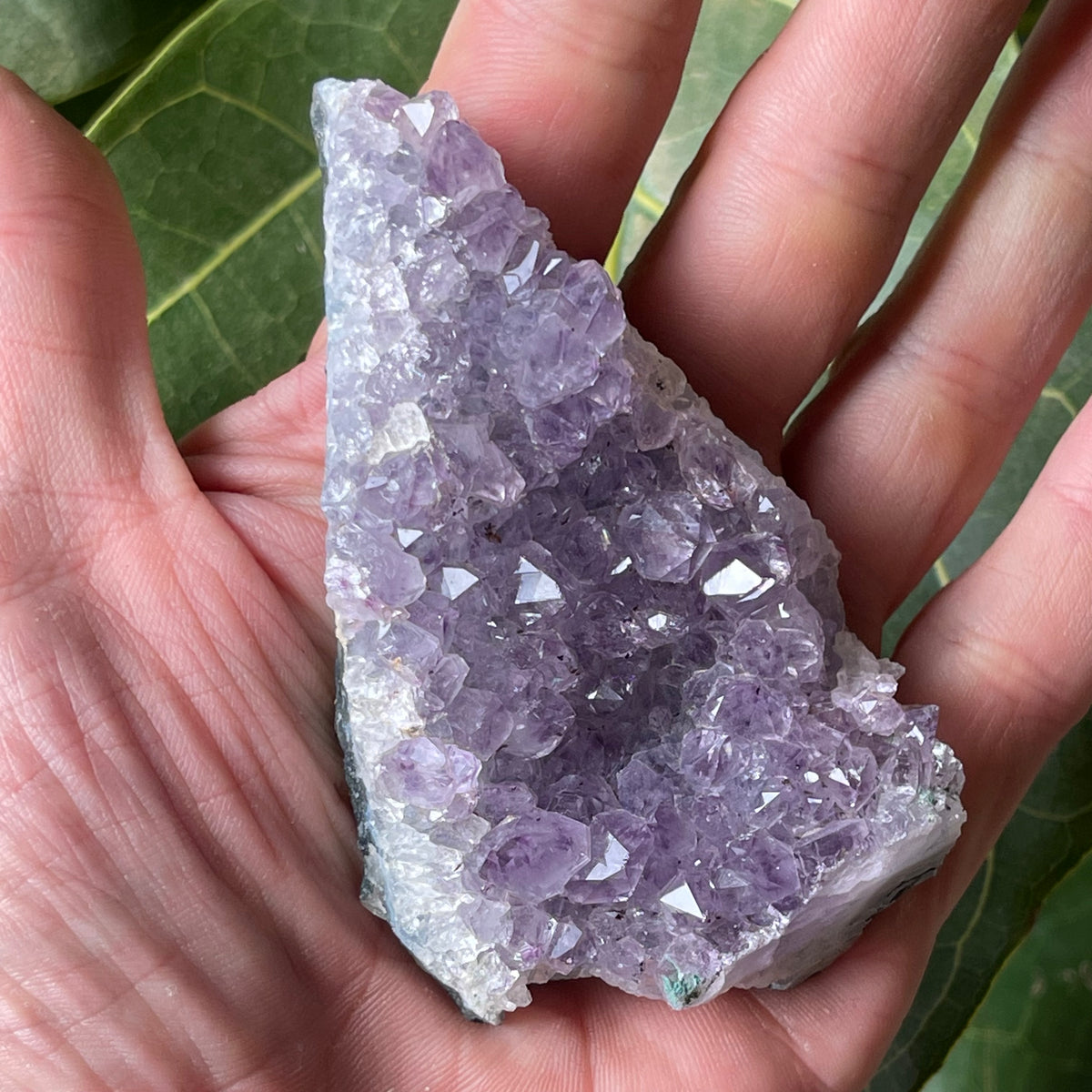 Real amethyst cluster on sale