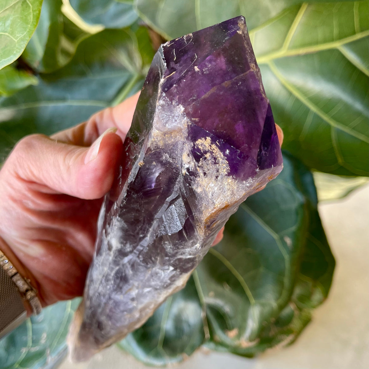 Natural Amethyst Tooth / Wand