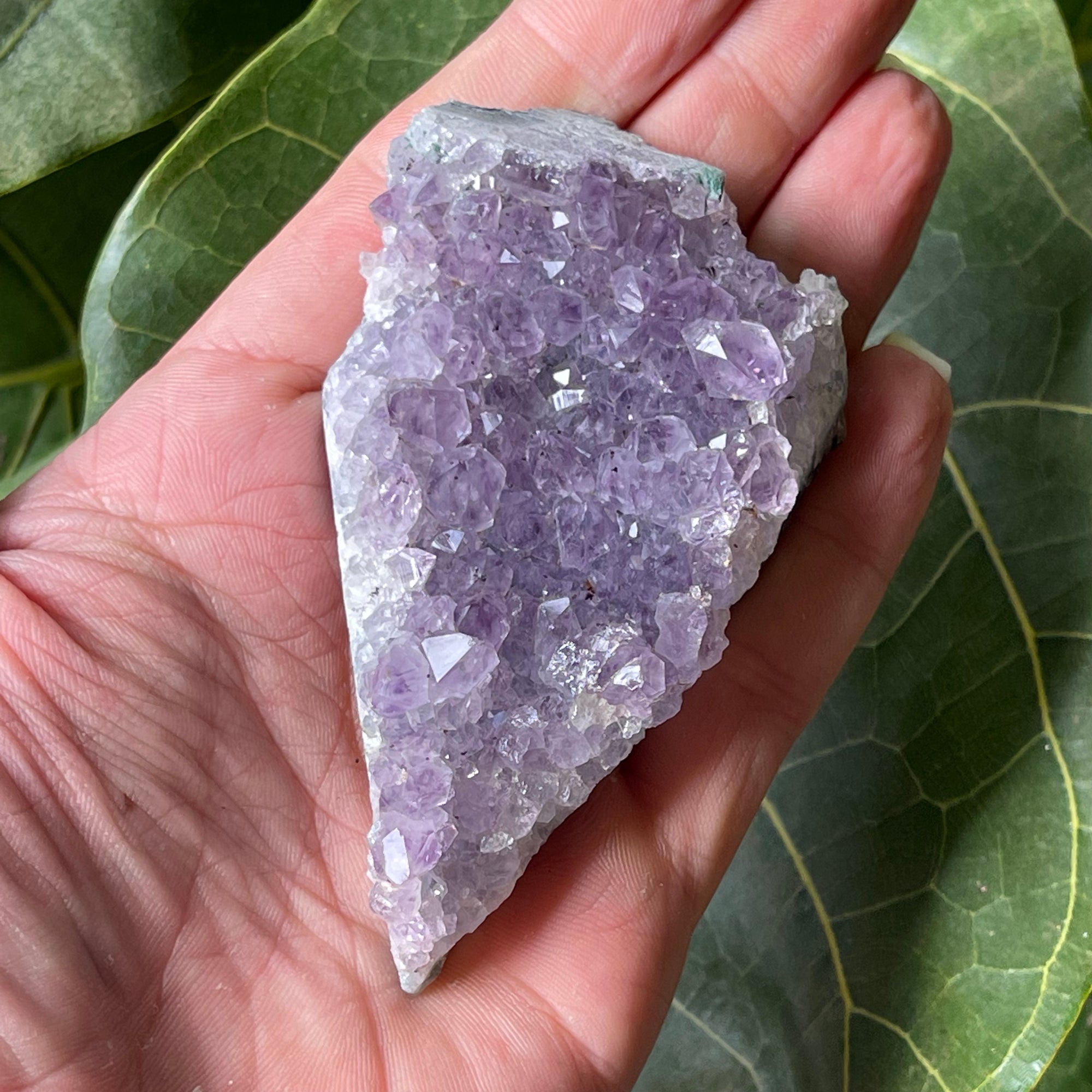 AAA Natural Amethyst Cluster
