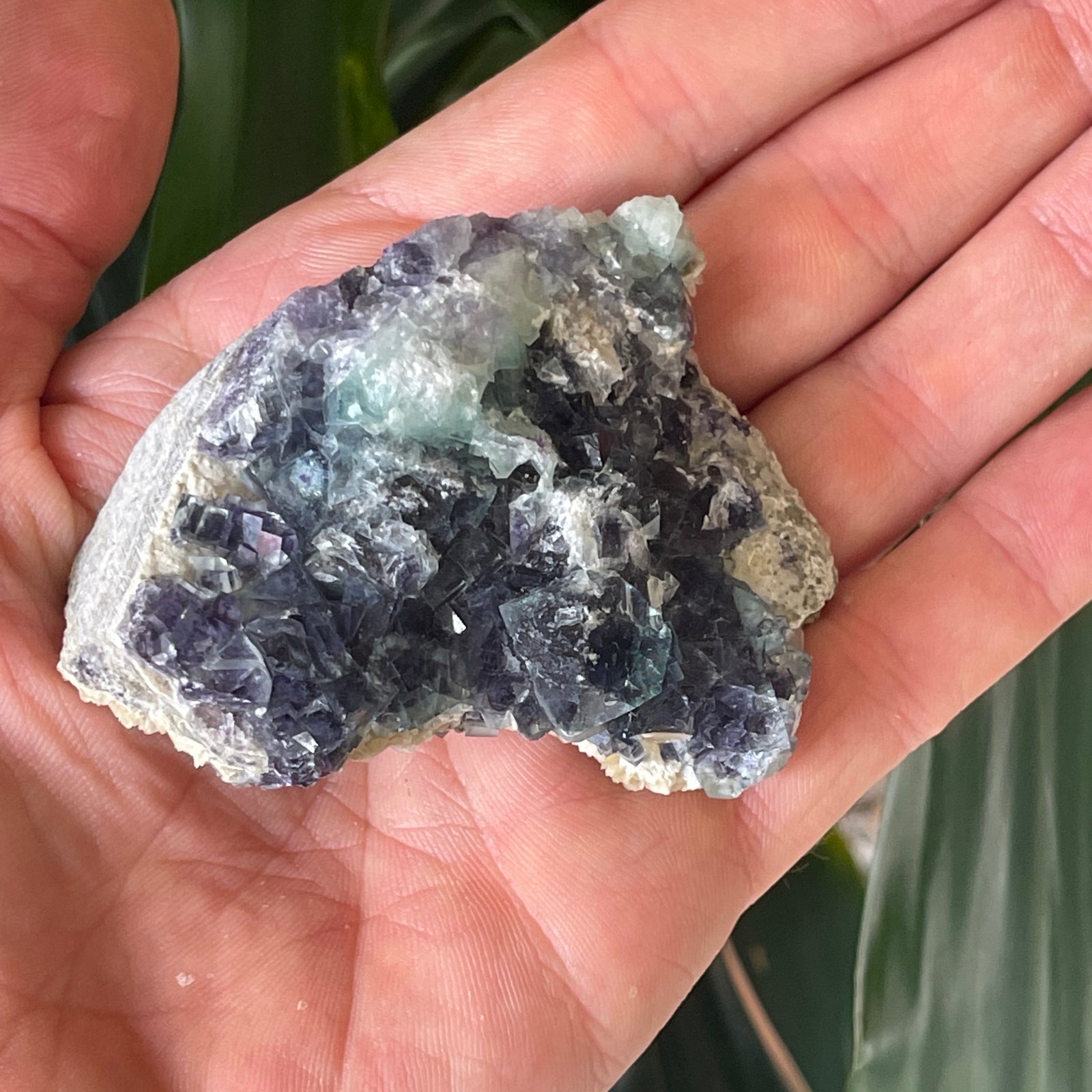 Purple cube Fluorite Cluster on Matrix - The Spirit of Life