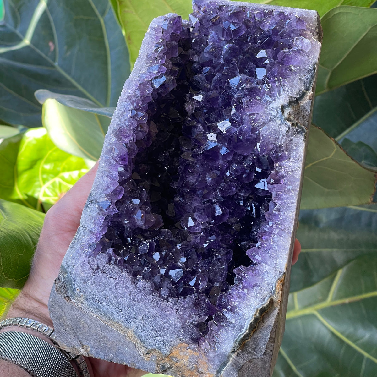Natural Amethyst Open Cave 2210g