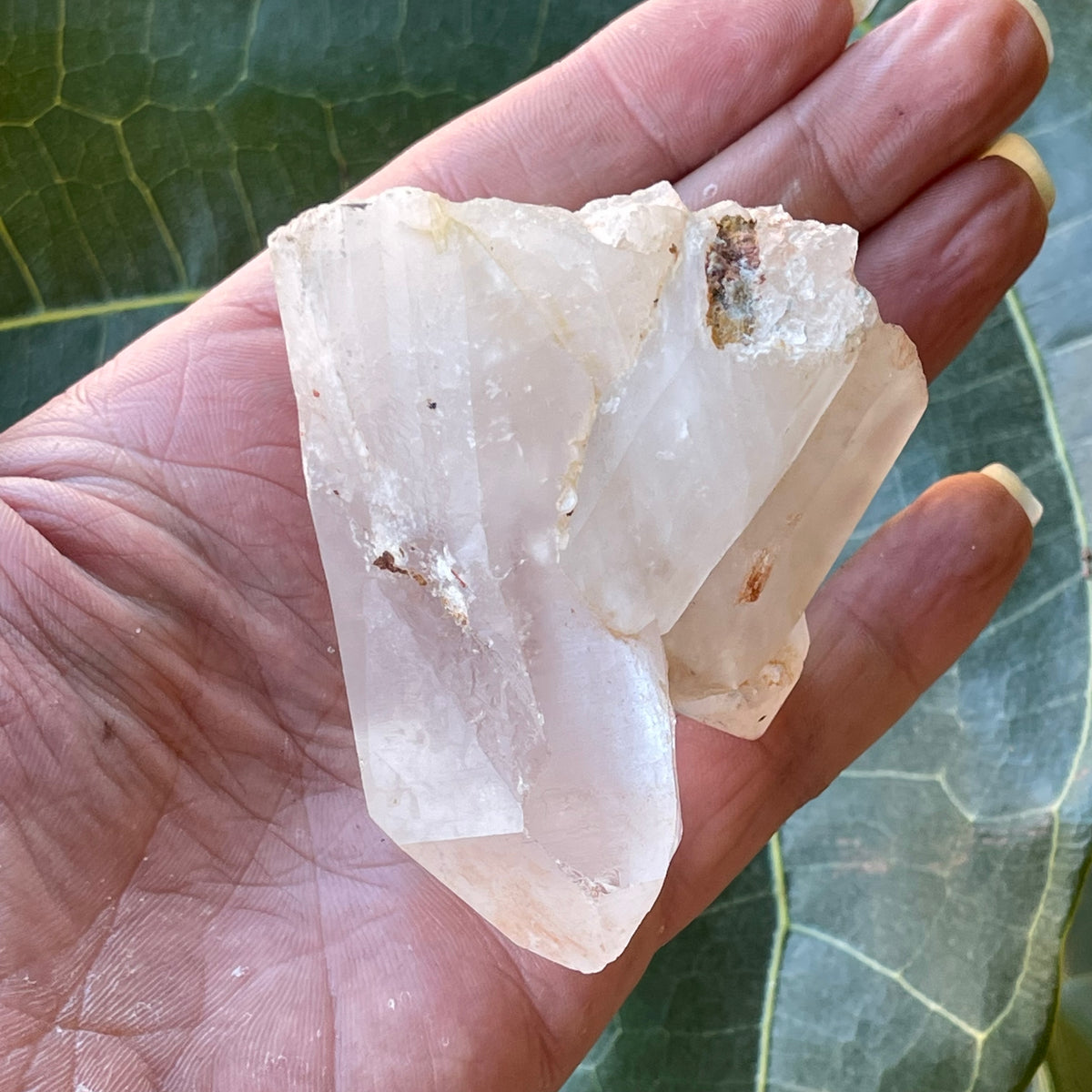 Clear Quartz Natural Cluster 221g
