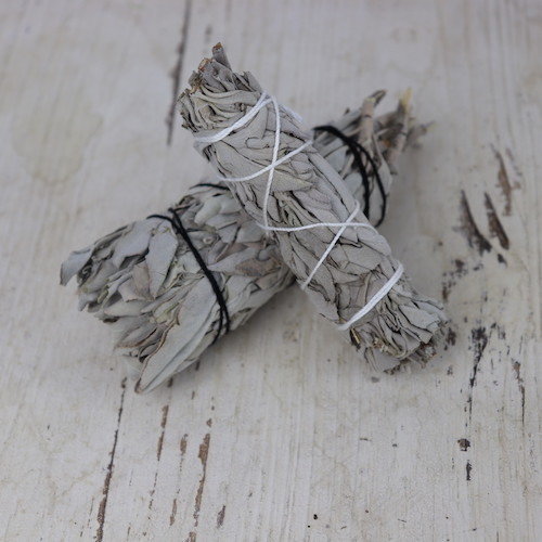 Medium White Sage Smudge Stick - The Spirit of Life