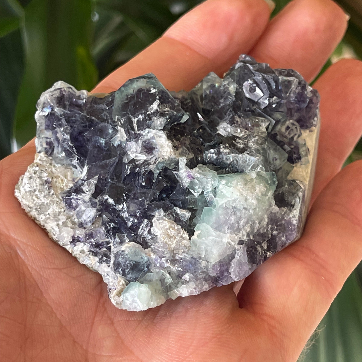Purple cube Fluorite Cluster on Matrix - The Spirit of Life
