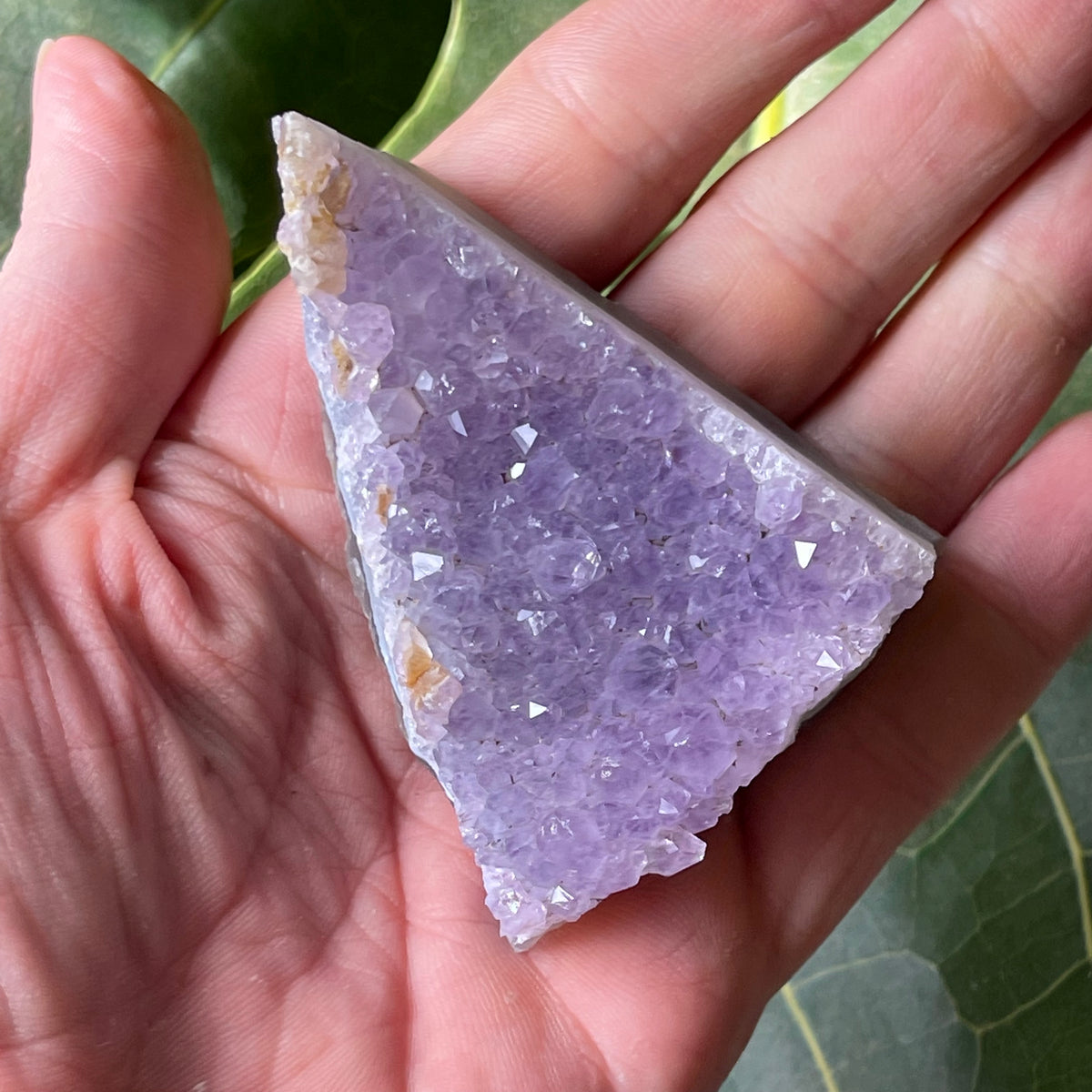 AAA Natural Amethyst Cluster