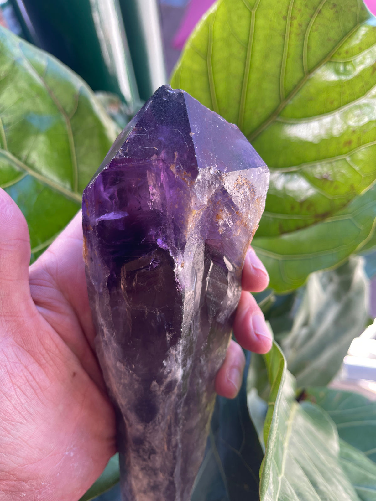 Natural Amethyst Tooth / Wand