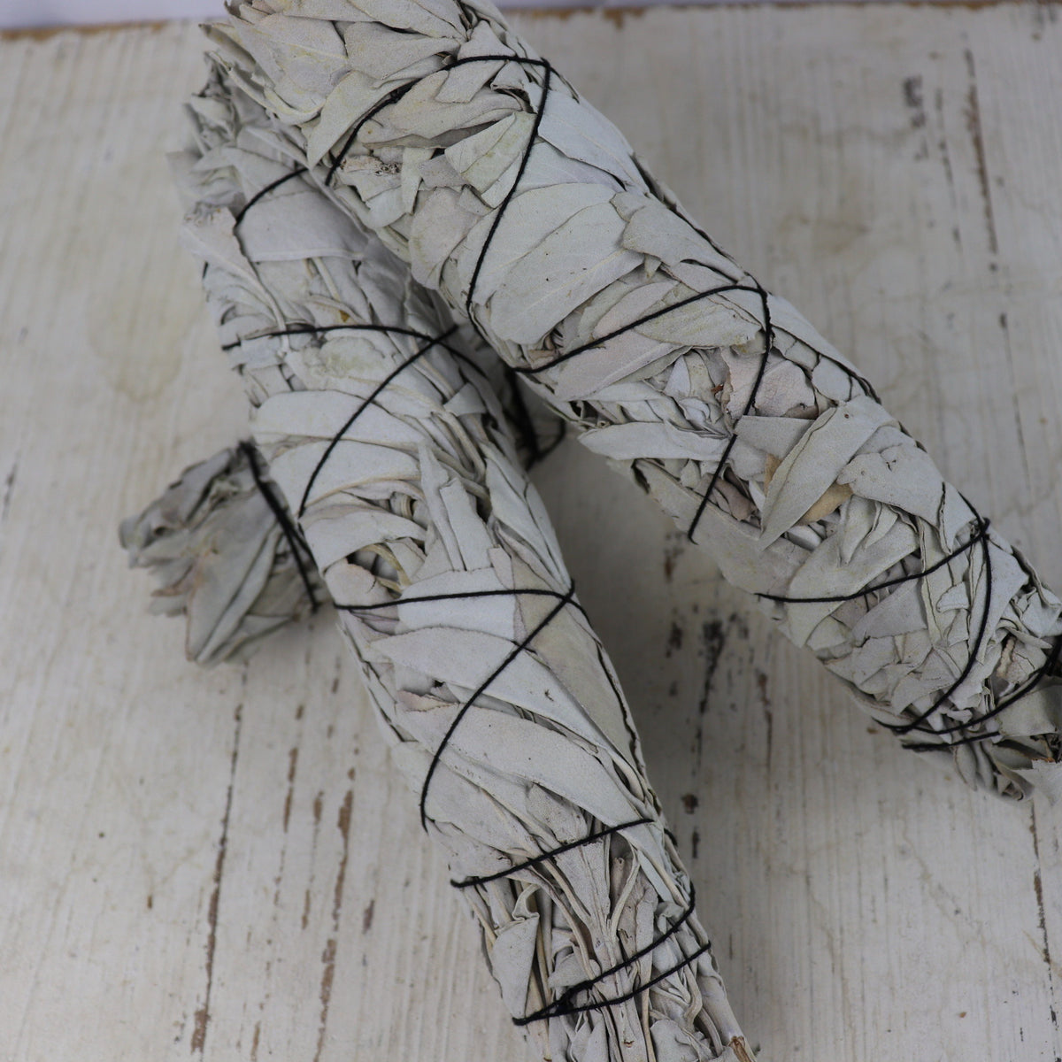 Large 9&quot; (22cm) White Sage Smudge Stick - The Spirit of Life