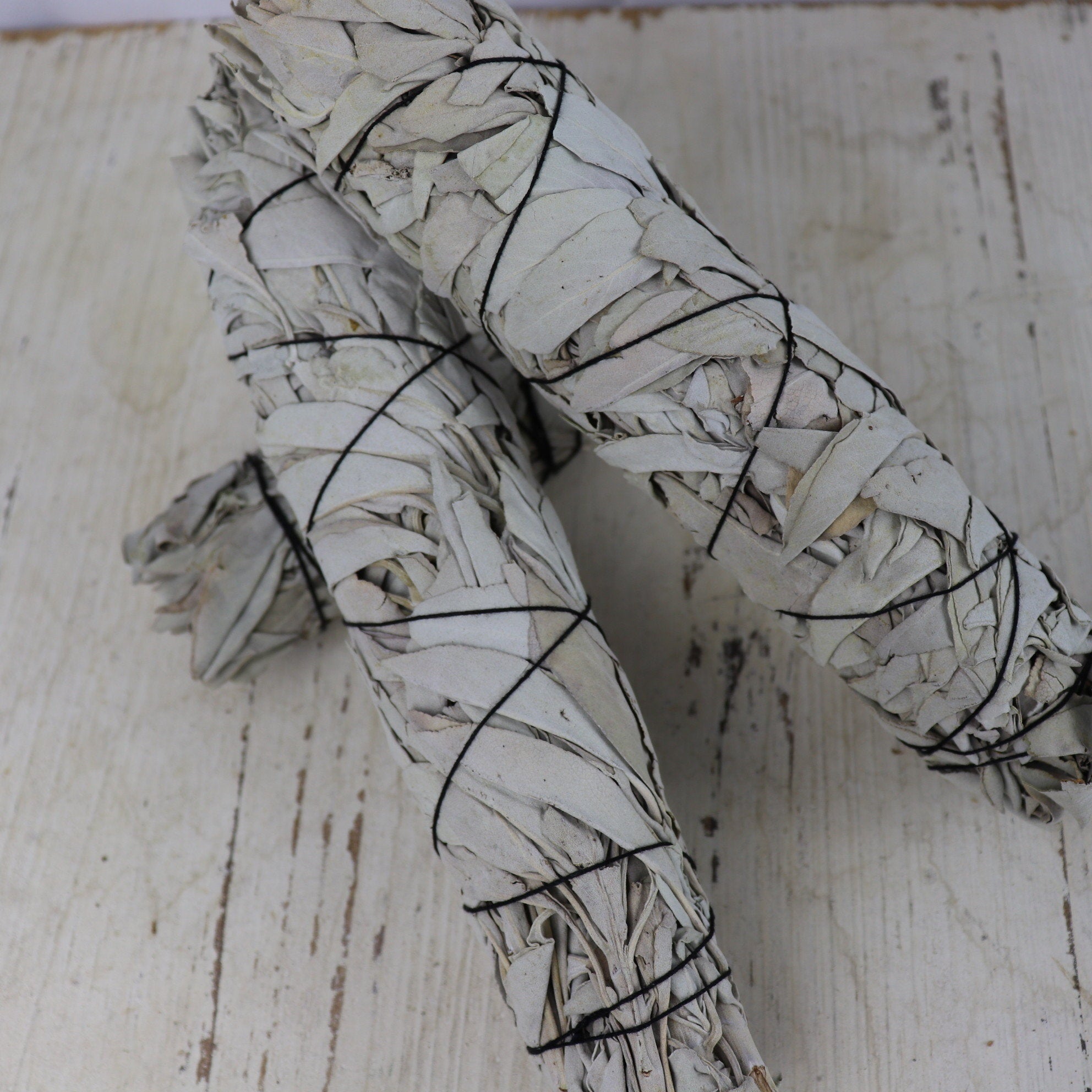 Large 9" (22cm) White Sage Smudge Stick - The Spirit of Life