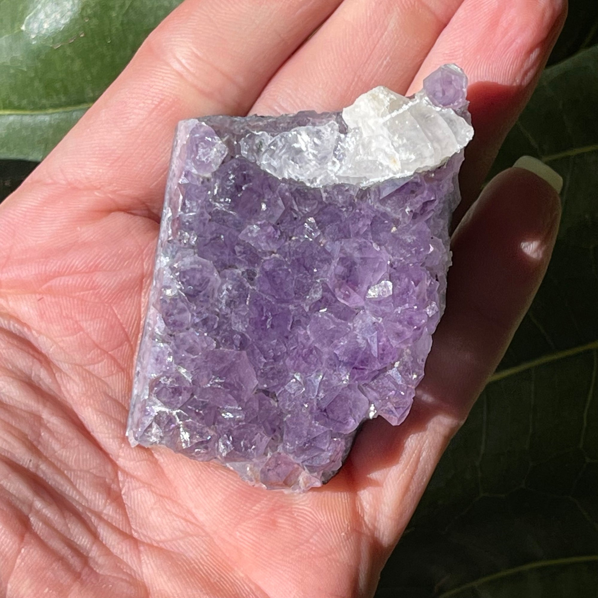 AAA Natural Amethyst Cluster 83g