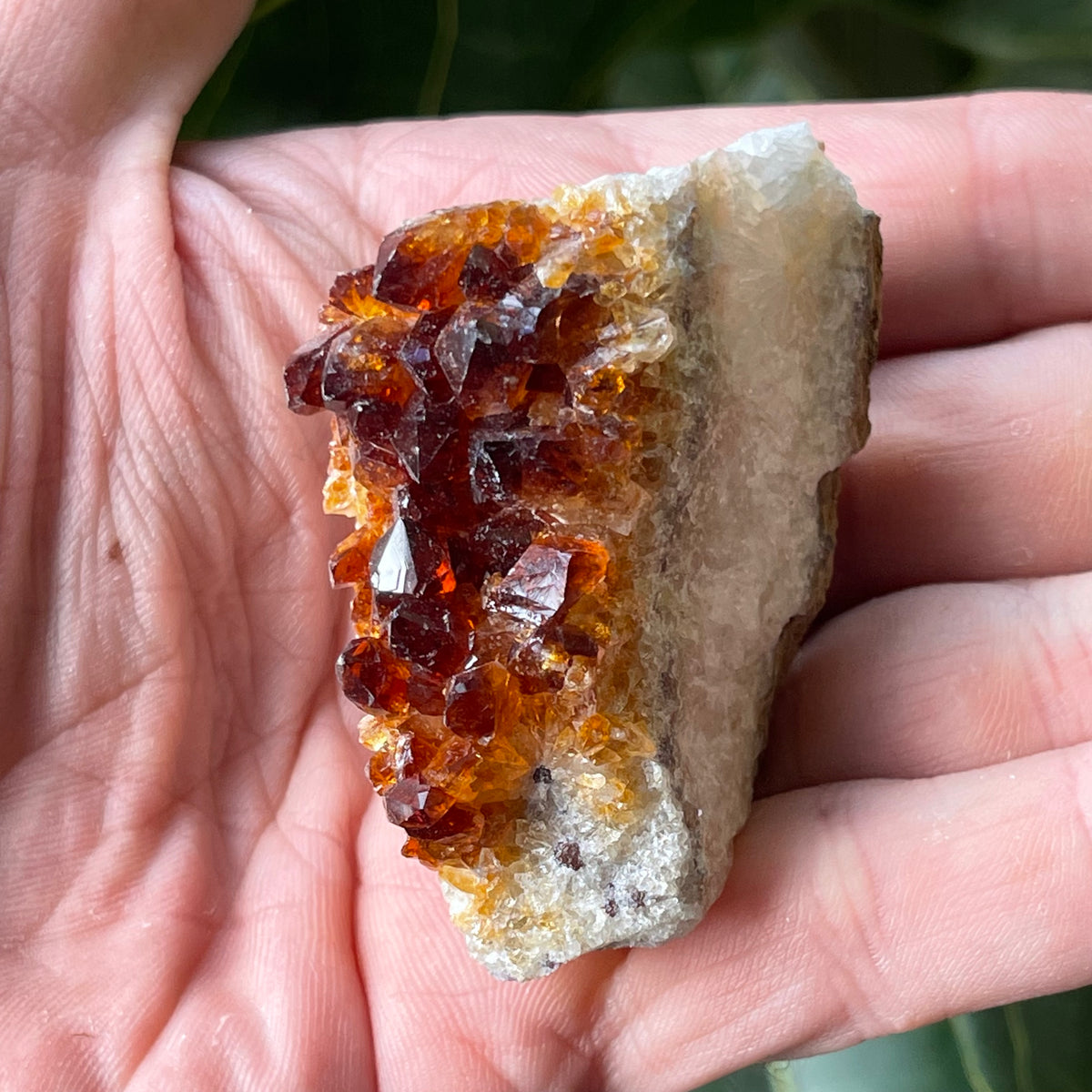 Natural Citrine Cluster 86g