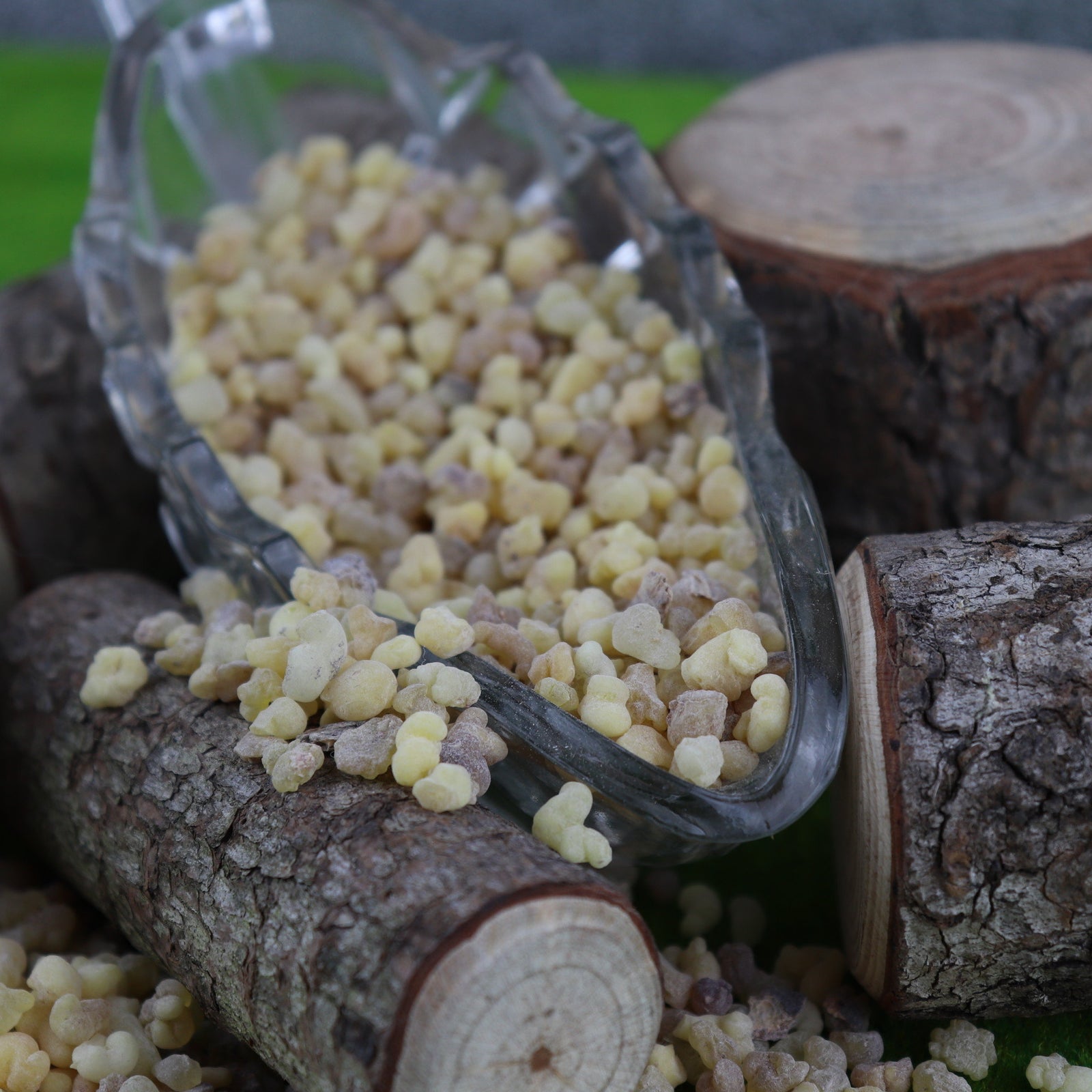 Frankincense Resin 20g - The Spirit of Life